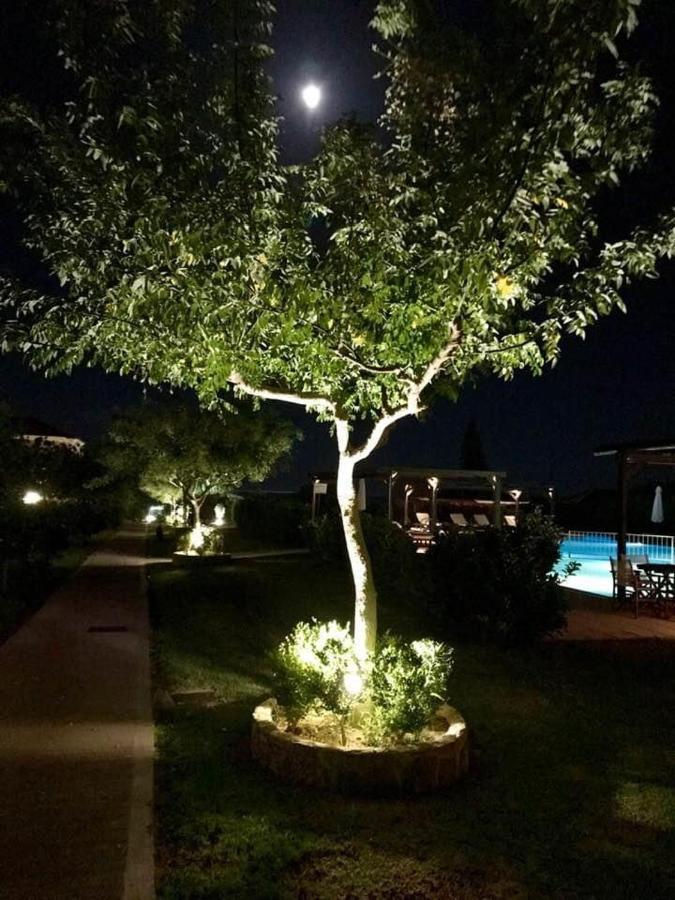 Boutique Hotel Ileas Village アルコウディ エクステリア 写真