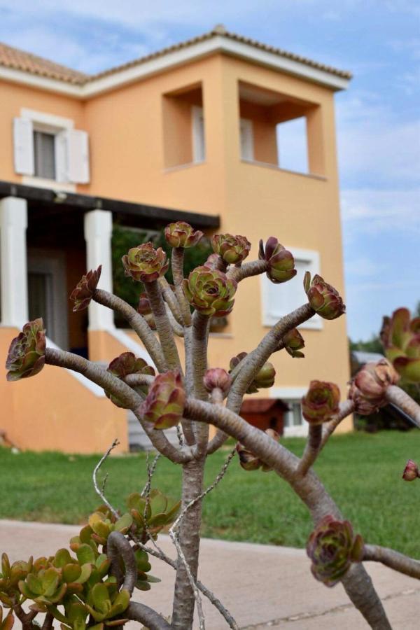 Boutique Hotel Ileas Village アルコウディ エクステリア 写真