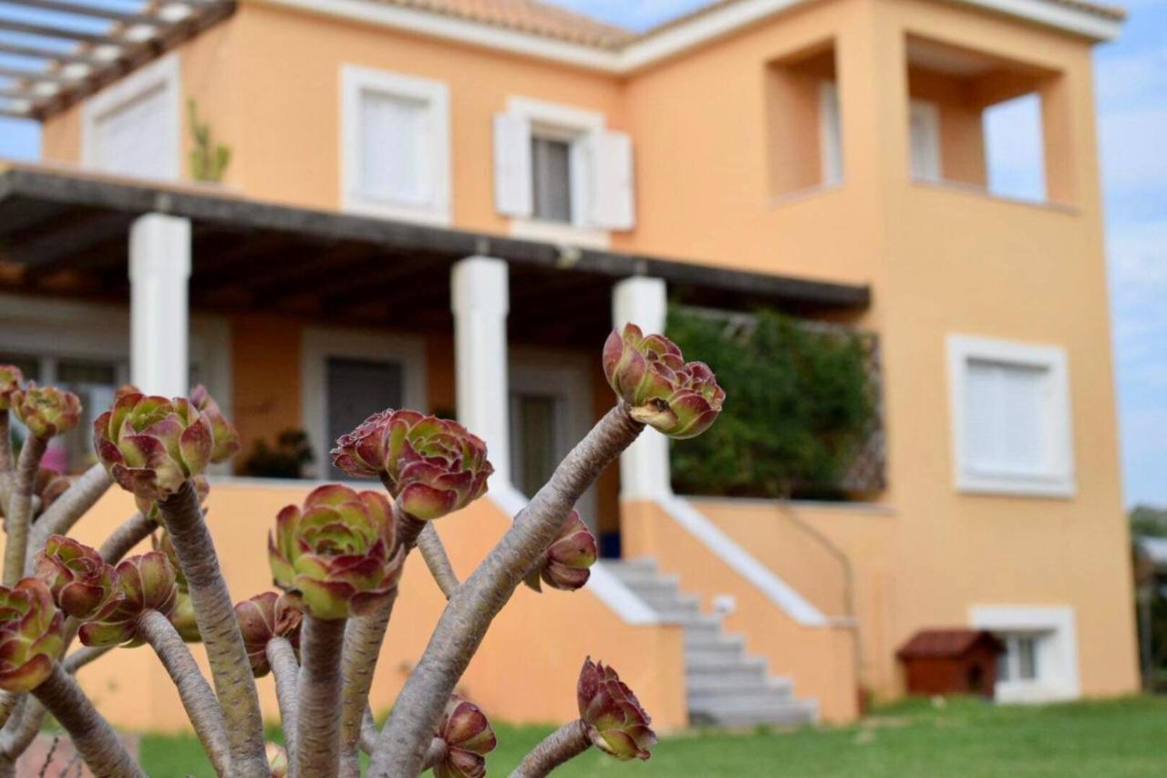 Boutique Hotel Ileas Village アルコウディ エクステリア 写真